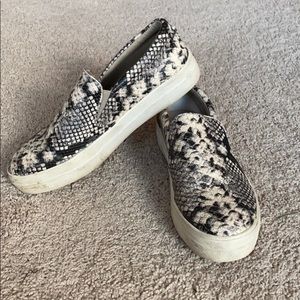 Steve Madden GILLS-C Snake
